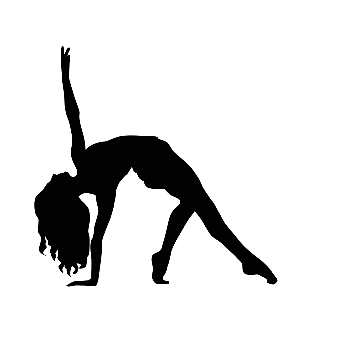 Pas chasse в классическом танце. прыжок в шпагат. ксандер пэриш. танец прыгунов 4 буквы. сисон в балете.