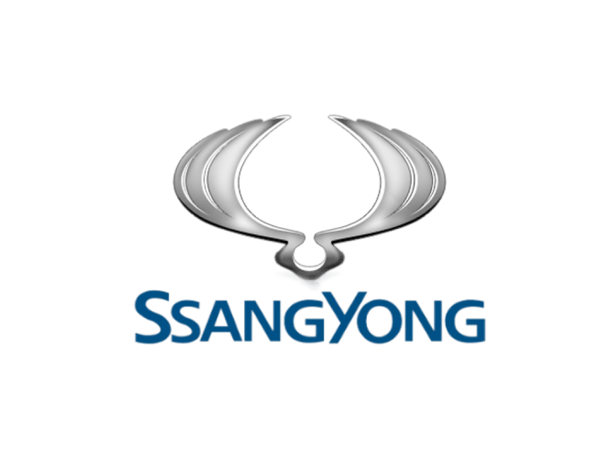 Значок саньенг. Эмблема Санг Йонг. Марки машин Санг енг значок. SSANGYONG логотип на авто. Марка Санг Йонг значок.