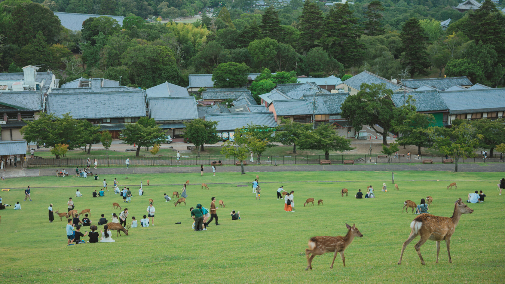 Национальный парк Нара. Япония