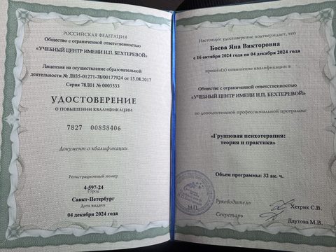 Дополнительный документ 2