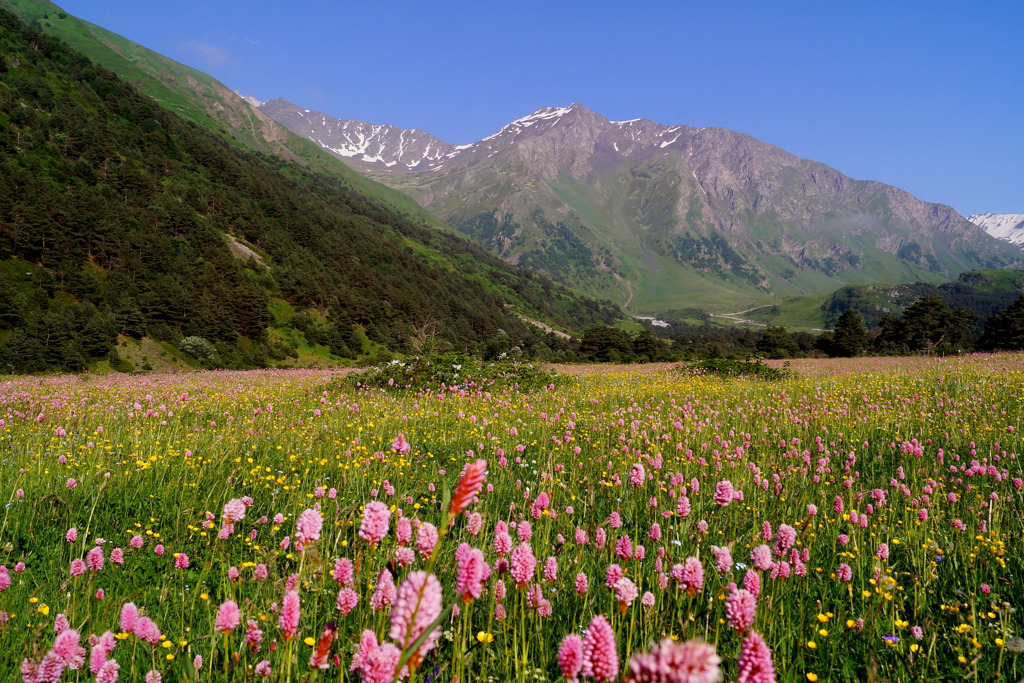 Урочище Уштулу Кабардино Балкария