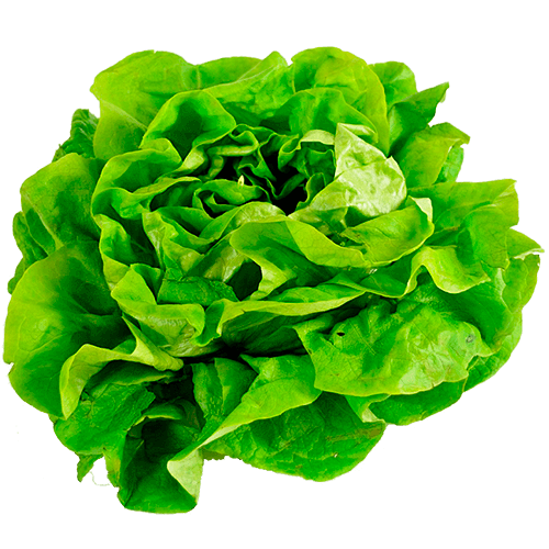 Нормы внесения Гумифулин и Органол для салата