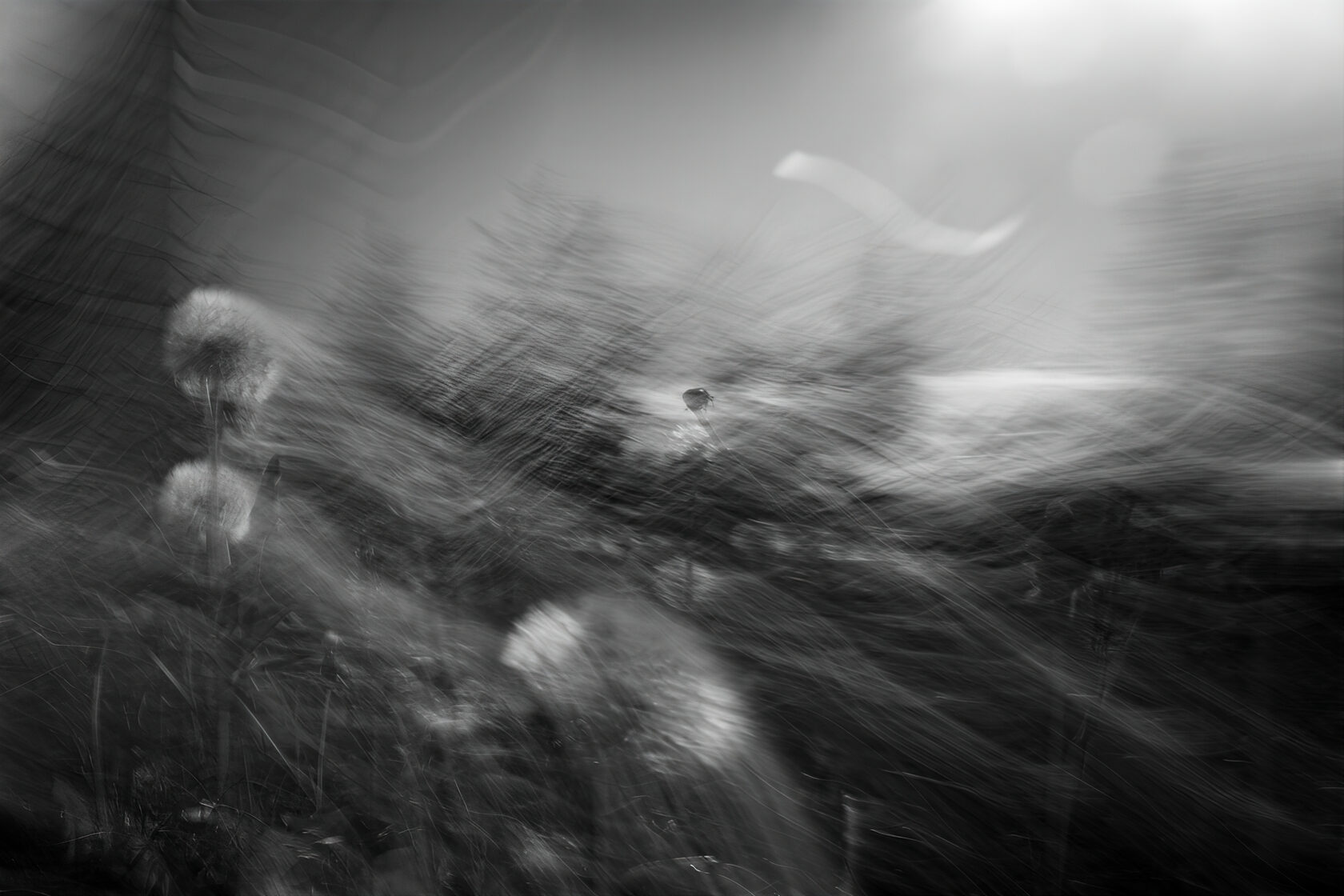 Сергей Михалюк: Флюксизм. Sergey Mikhalyuk: Fluxism.