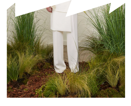 Collection bottom image