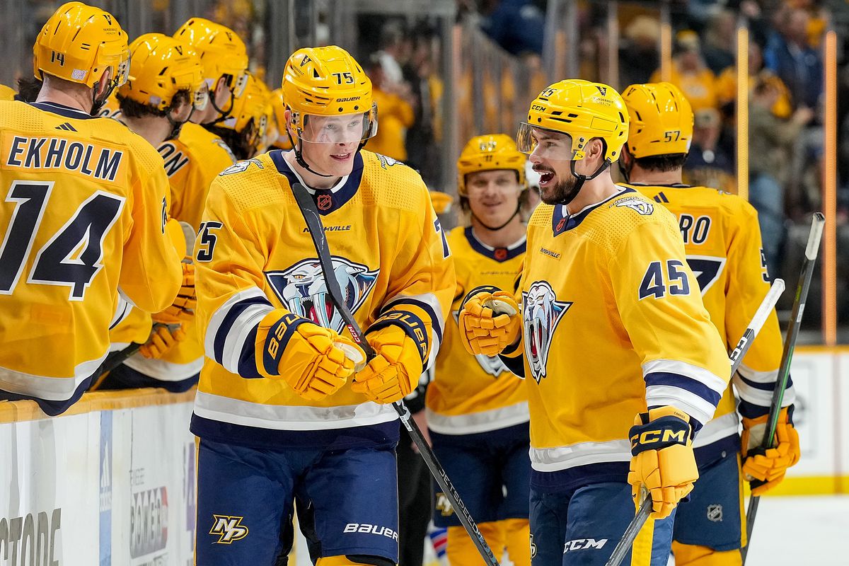 Хоккейные свитера Nashville Predators