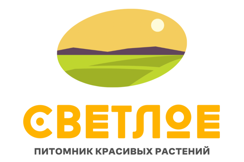 Коммерц проект двери