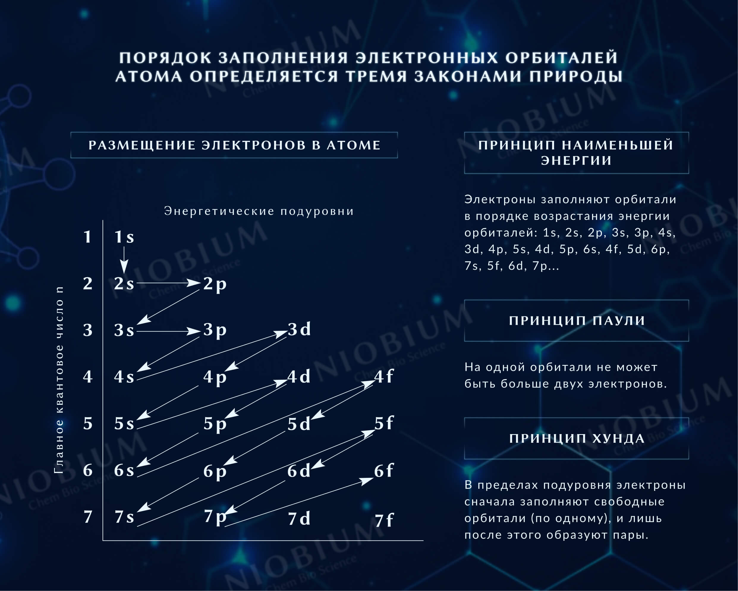 Заполнение электронных. Заполнение электронных