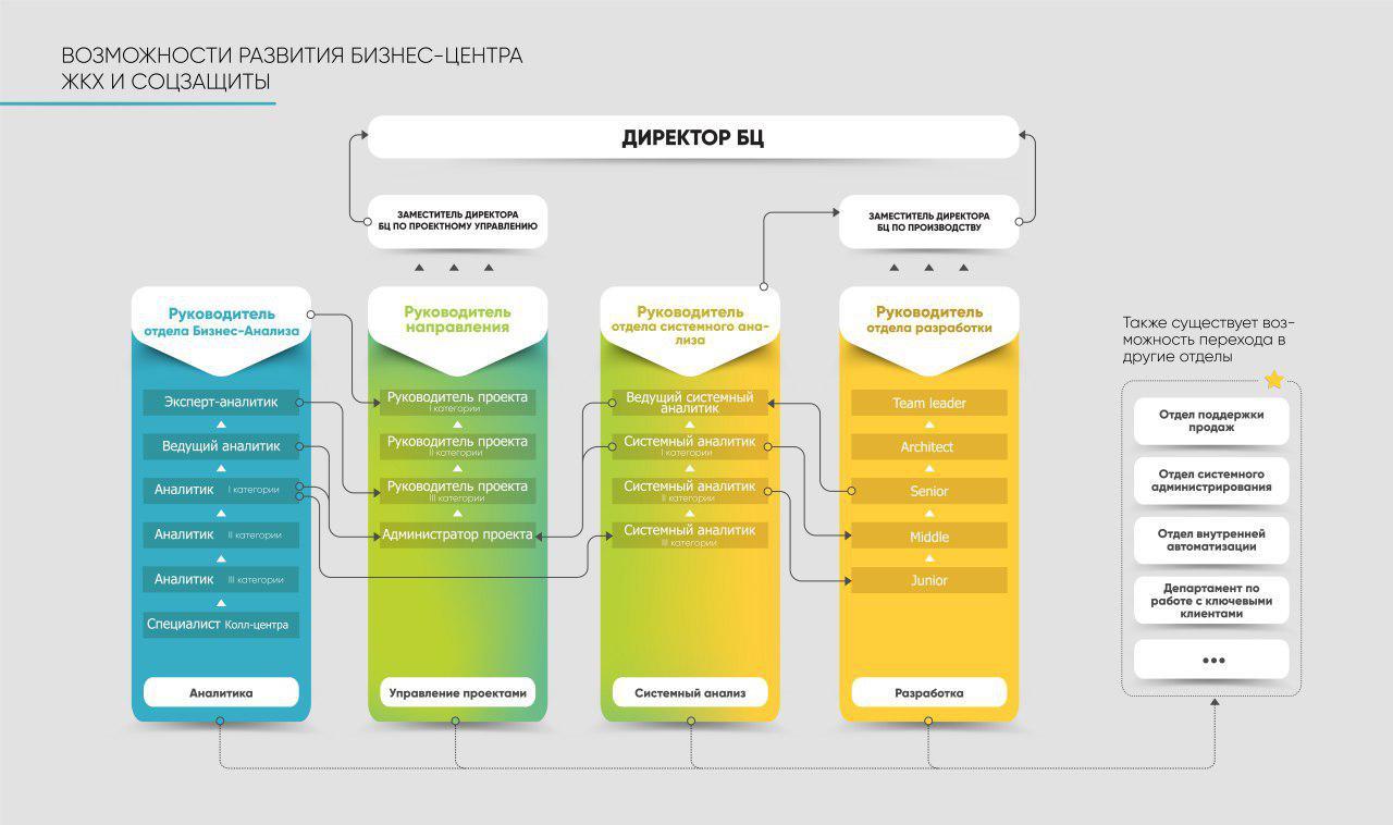 Возможности для развития. Отдел бизнес аналитики. Системный и бизнес аналитик. Бизнес Аналитика виды. Аналитика проекта.