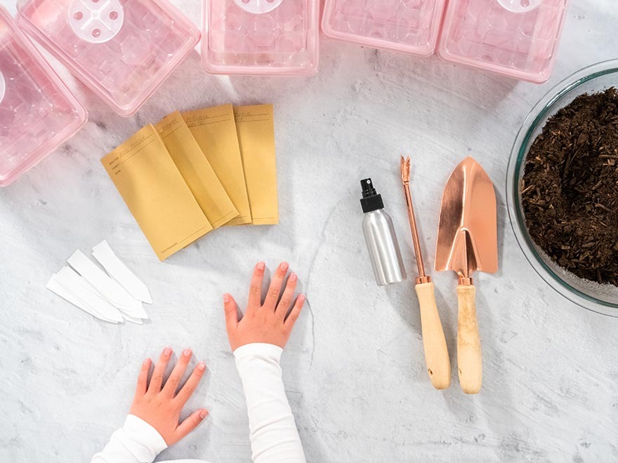 Hands preparing gardening supplies for starting cucumber seeds indoors, including seed packets, biodegradable pots, a spray bottle, and gardening tools on a light surface.