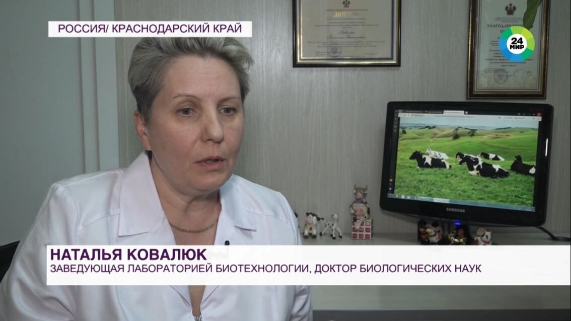 Молекулярно – биологические исследования, лабораторные анализы Краснодар, лабораторные испытания молока, молоко типа А2, анализ молока, Краснодарский научный центр по зоотехнии и ветеринарии, ФГБНУ КНЦЗВ