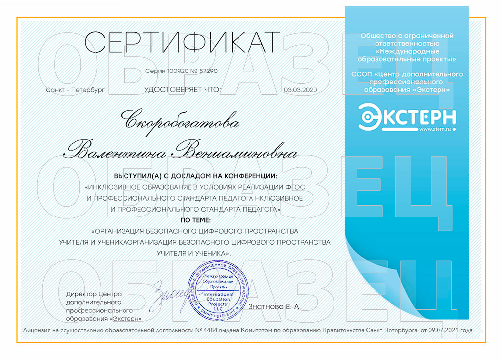 Сертификат участника конференции