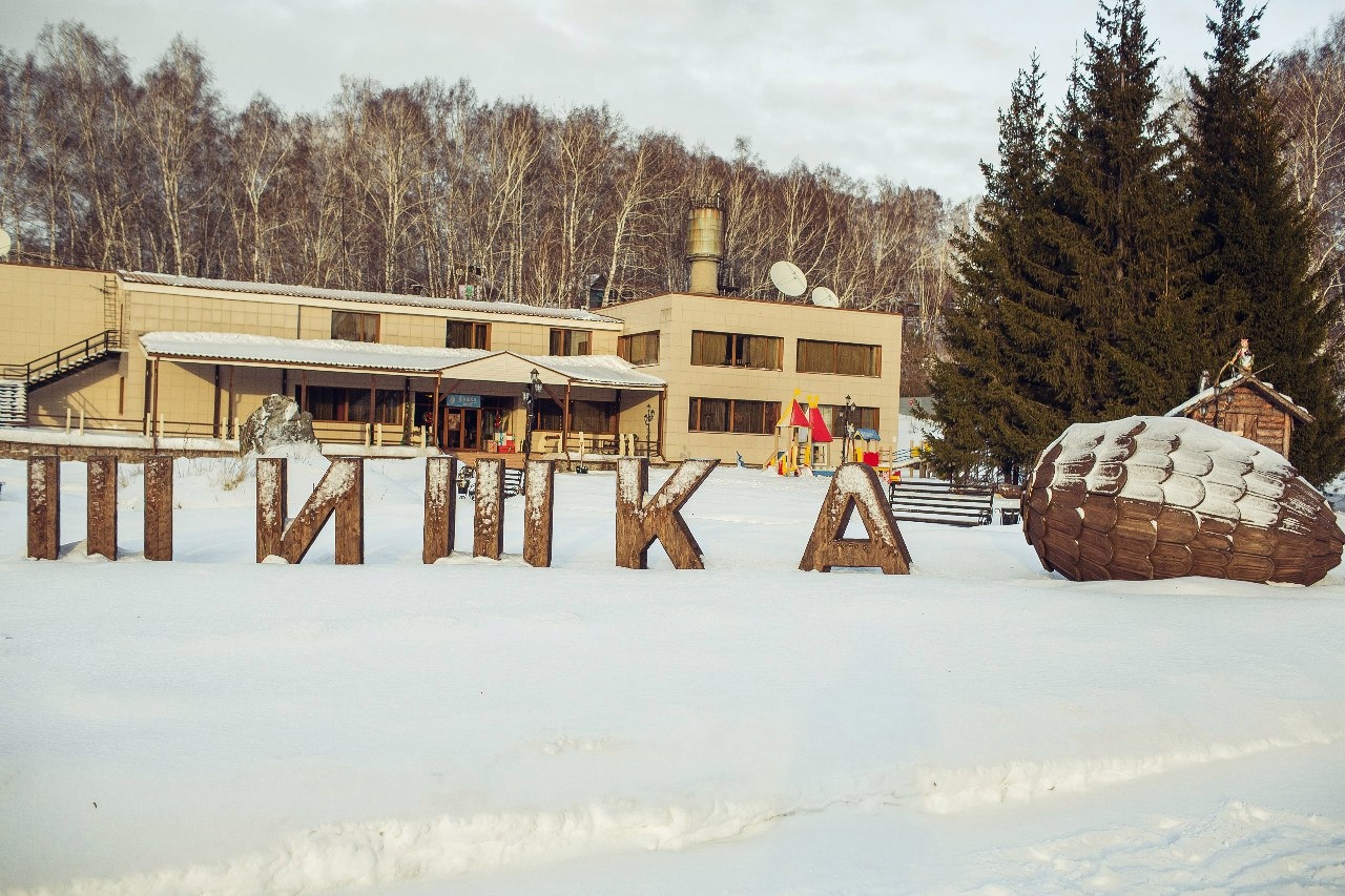 Парк отель шишка. Парад парк отель шишка. Шишка- место в Дзержинском районе Новосибирска.