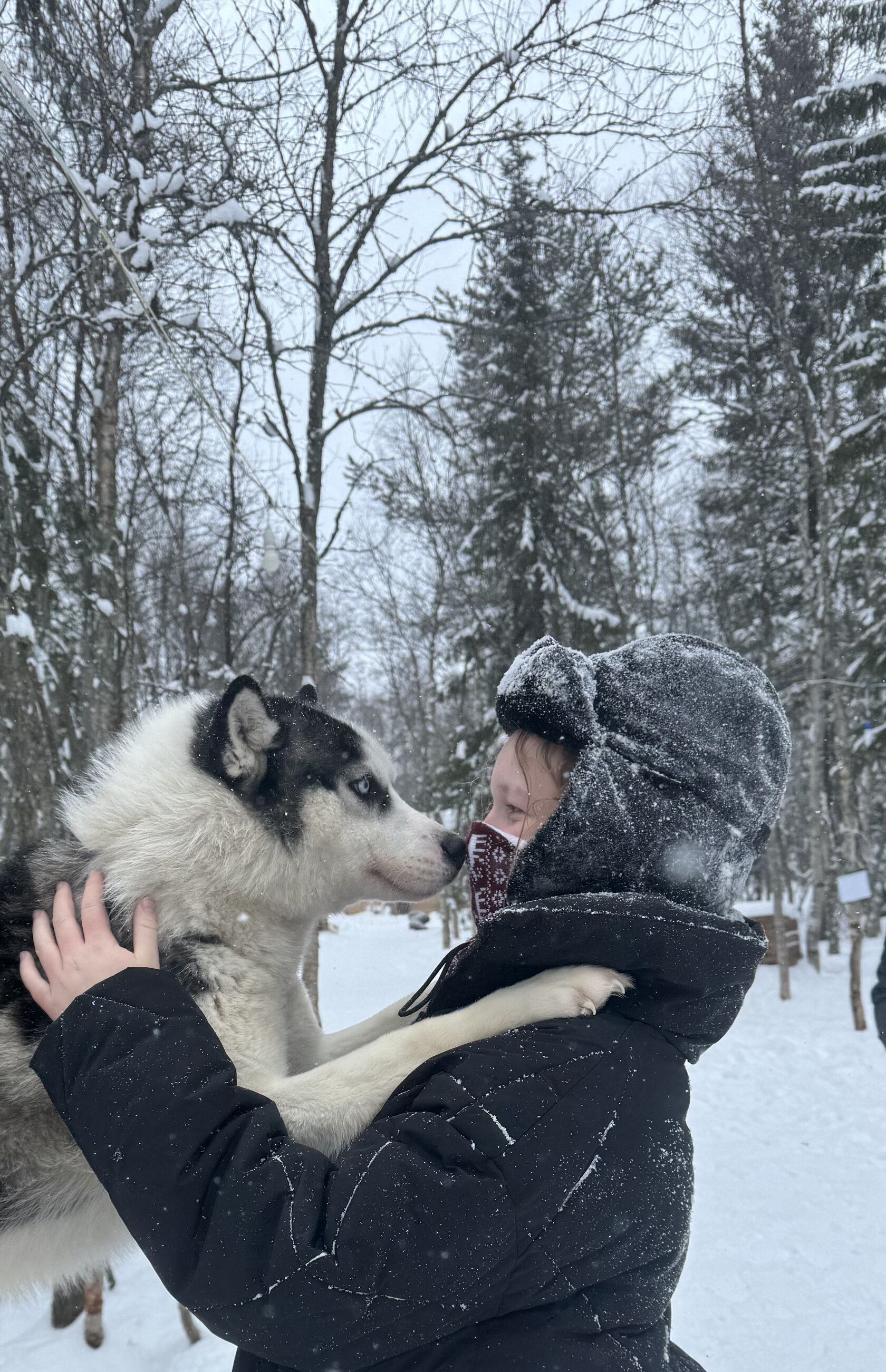 Туры в Мурманск из СПБ
