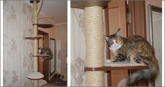 когтеточка купить в интернет магазине