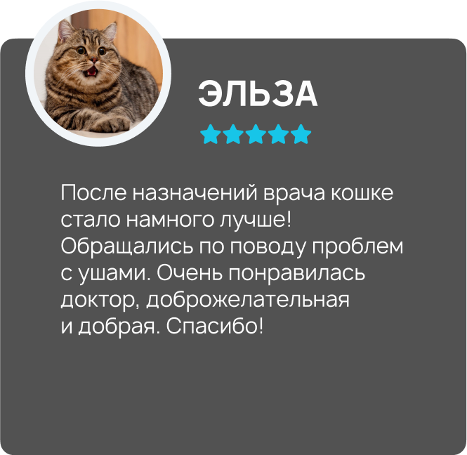 Центр здоровья животных, ветеринарная клиника, ветеринарная клиника в Туле, ветклиника центр здоровья животных, ветклиника, ветклиника тула, стерилизация собак Тула, стерилизация кошек Тула, врач ветеринар на дом, врач ветеринар на дом Тула, врач для животны, врач для животных Тула, врач по почкам ветеринар, врач хирург ветеринар, Тула ветеринар, Ветеринарная больница Тула, Тула лечение животных, Тула вакцина собаке, Тула вакцина кошке, стерилизация Тула, кастрация Тула, груминг Тула, зоогостиница Тула, передержка животных Тула, ветеринарная аптека Тула, ветеринарный врач Тула, лечение животных, вакцинация, стерилизация, кастрация, кастрация собак, кастрация кошек, кастрация Тула, кастрация собак Тула, кастрация кошек Тула, груминг, груминг Тула, зоогостиница, передержка животных, ветеринарная аптека.