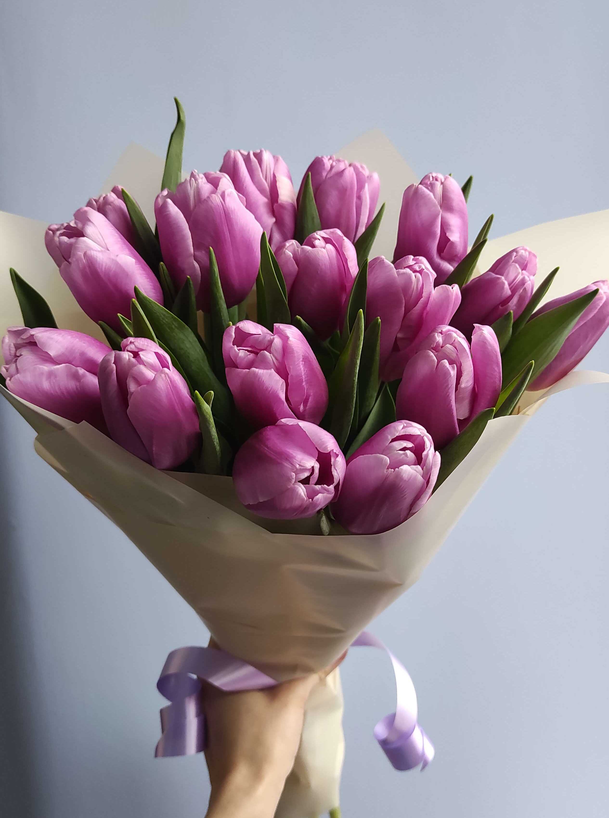 17 тюльпанов. 17 тюльпанов. 15 пионовидных тюльпанов букет. Тюльпан match. Тюльпанов 17 сириус.