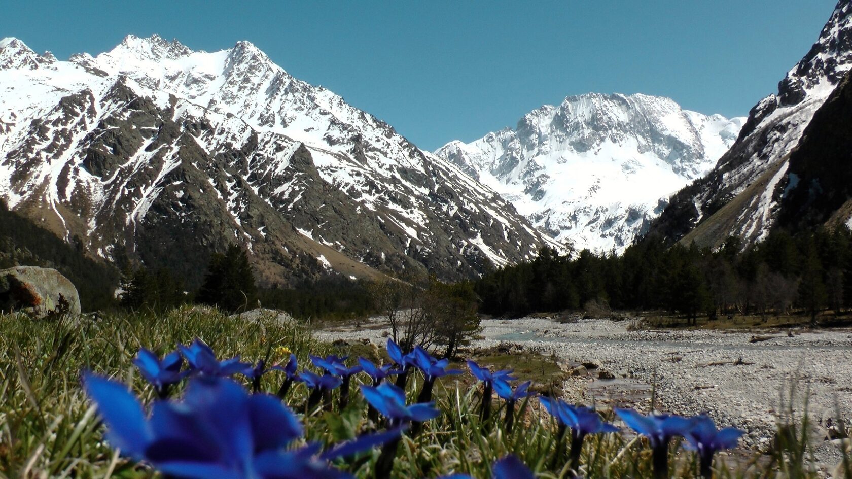 Весна на домбае фото