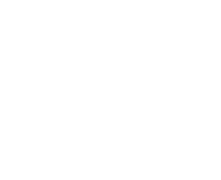 Фоноскопическая экспертиза