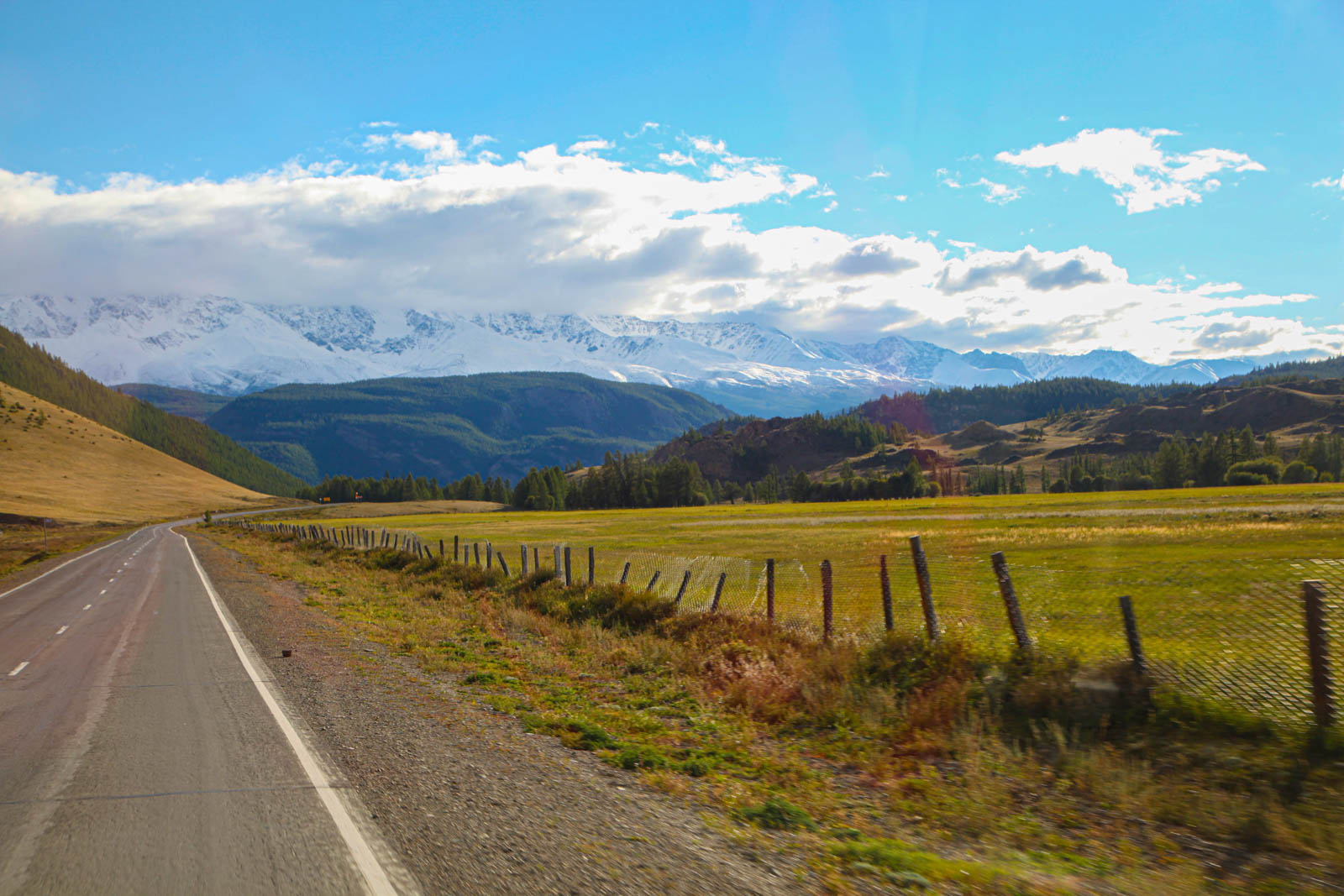 Тур в Горный Алтай «Цветение маральника на Семинском» из Кемерово