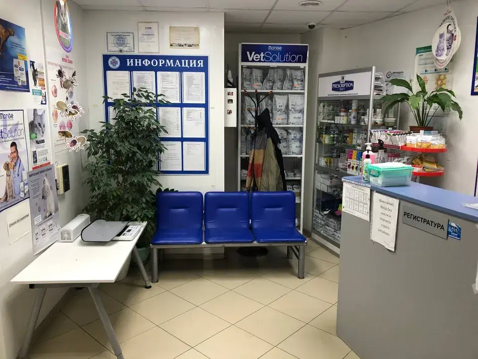 Зона ожидания с синими стульями и информационным стендом в Родниках