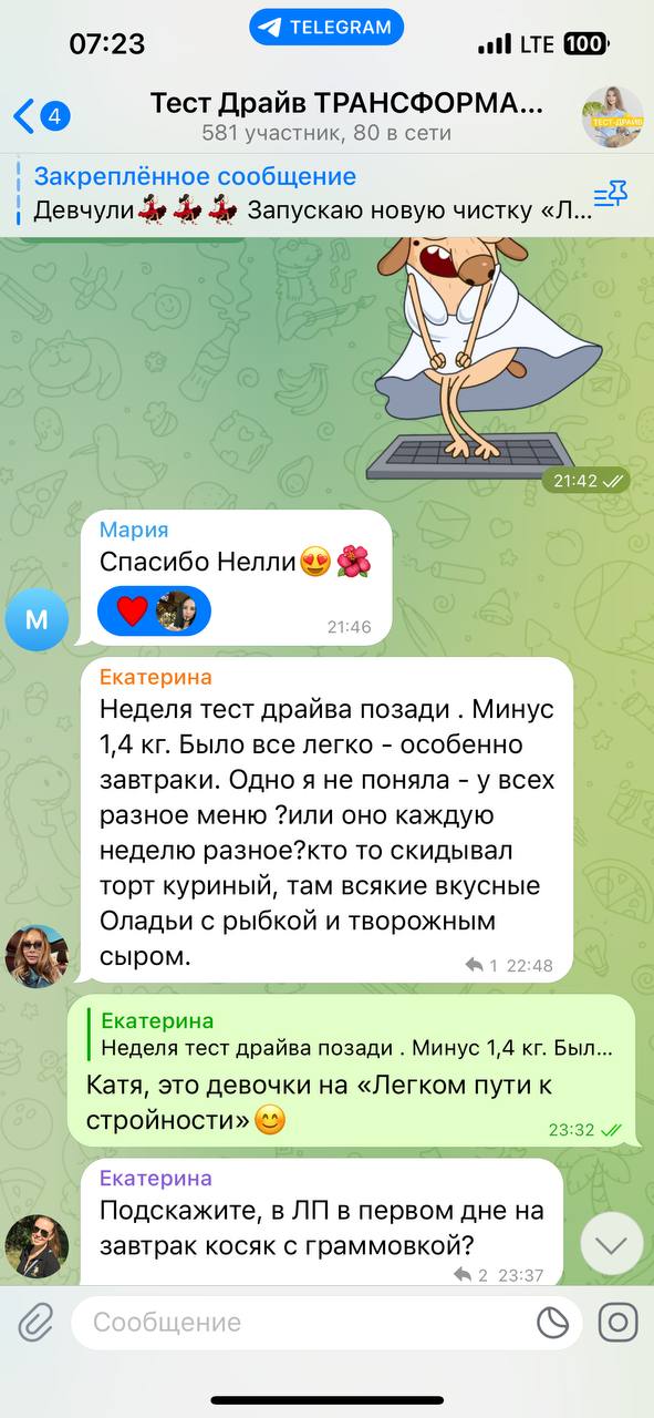 Переписка в чате участниц
