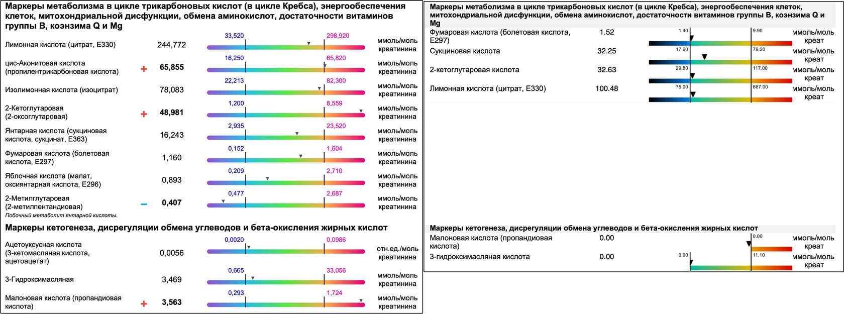 Анализы в начале биомеда OATsample