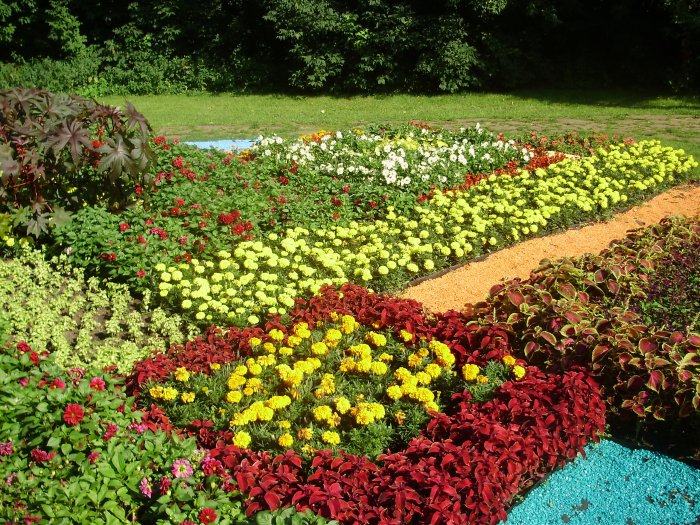 подготовка сада к весне