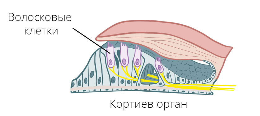 -12