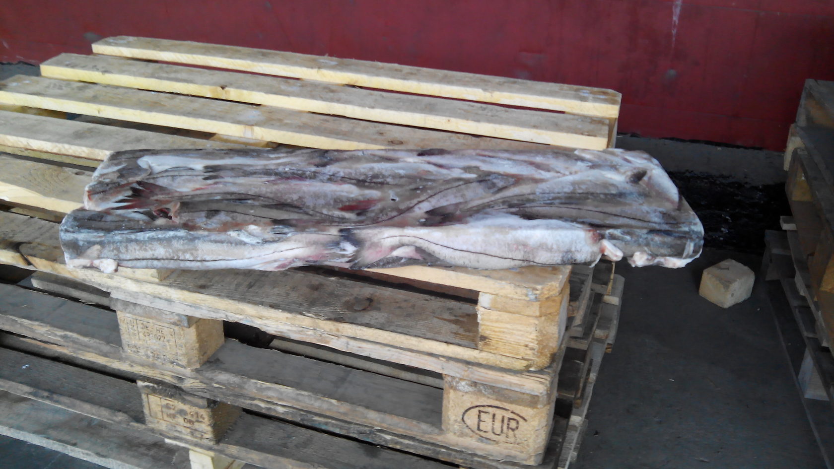 пикша тара 4