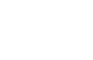 Partner 19 logo