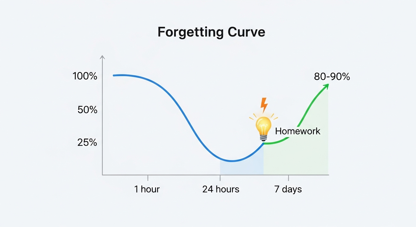 Инфографика кривой забывания Эббингауза, которая показывает пользу домашнего задания: повторение материала через 24 часа помогает перенести знания в долговременную память.