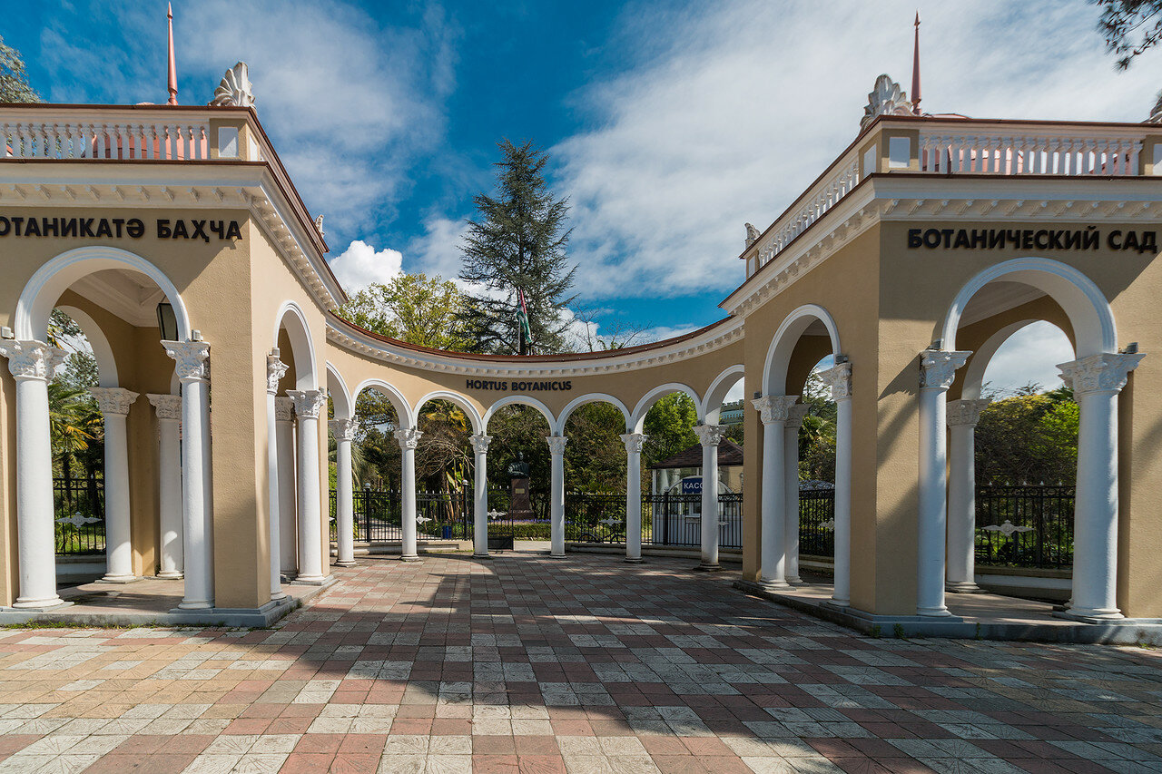 Фото ботанический сад абхазия