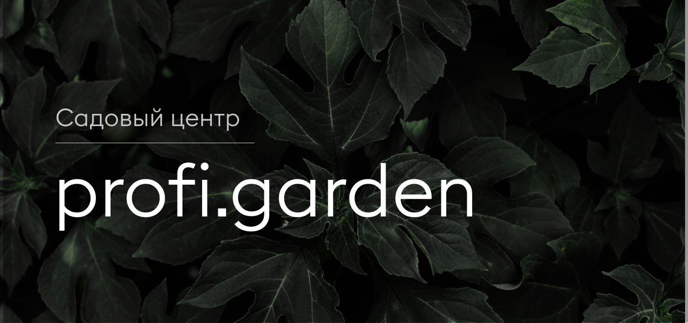 Экспресс-проект по озеленению