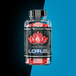 Жиросжигатели - купить в Ростове-на-Дону по низким ценам с бесплатной ...