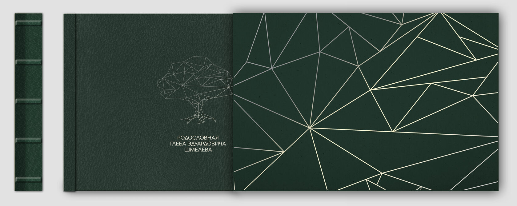 Подарочная книга ИРГ