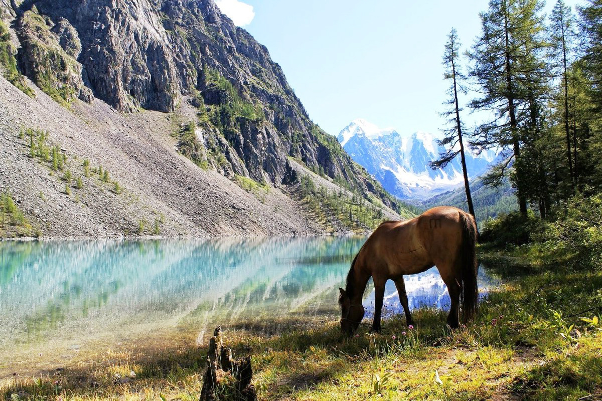 Турочак республика алтай фото