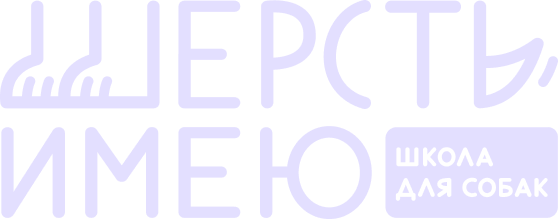Школа дрессировки