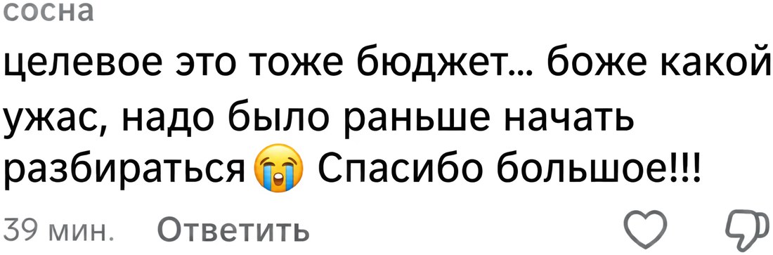 Отзыв: целевое это тоже бюджет, надо было раньше начать разбираться