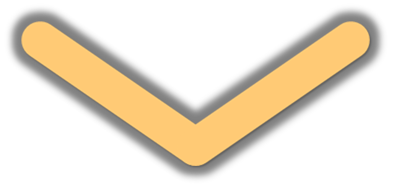 "WILD" ECSTATIC DANCE FESTIVAL 2024