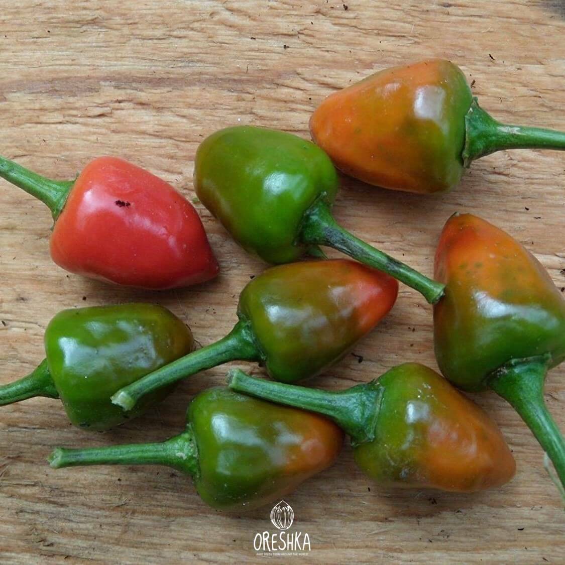 Seeds of Hot pepper Mini mini from Brazil (Capsicum) — 5 pcs