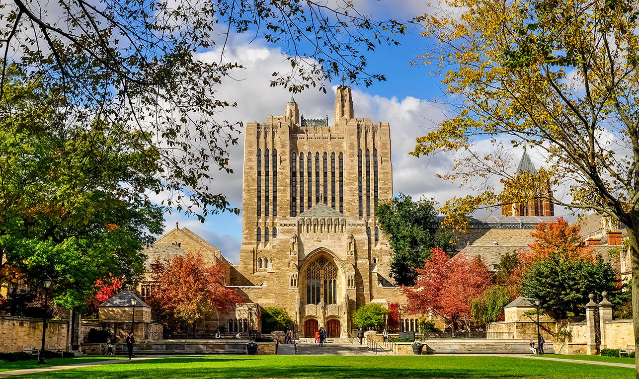 Yale University в США: требования к поступлению, стоимость и факультеты