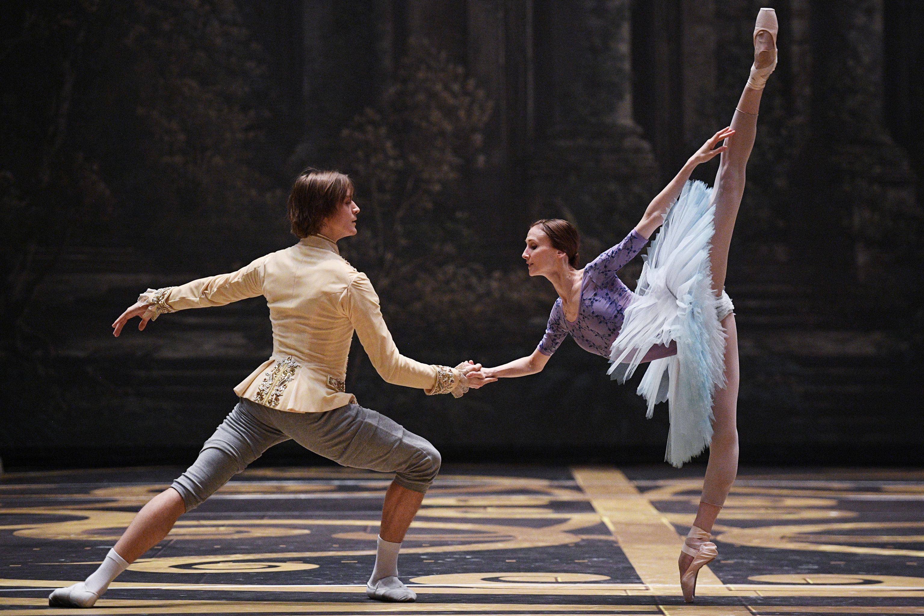 バレエ 愛 音楽 大型文化プロジェクト ロシアの季節 を振り返って