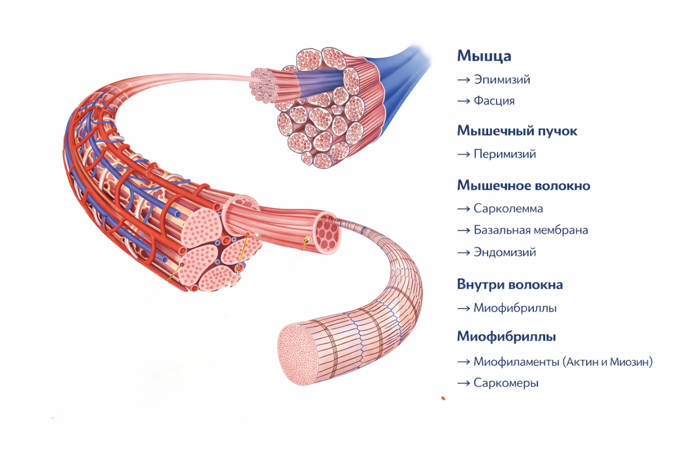 Ein Bild, das Text, Modeaccessoire enthält.
KI-generierte Inhalte können fehlerhaft sein.