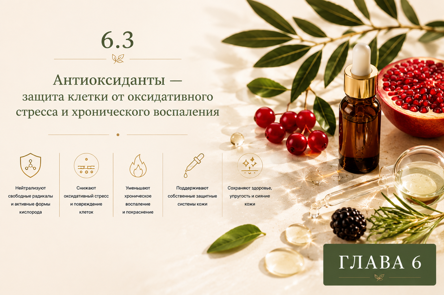 Антиоксиданты для защиты клеток кожи от оксидативного стресса свободных радикалов и хронического воспаления