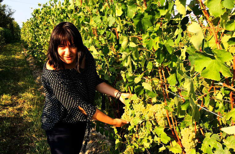 Топ направлений для винного туризма в Европе