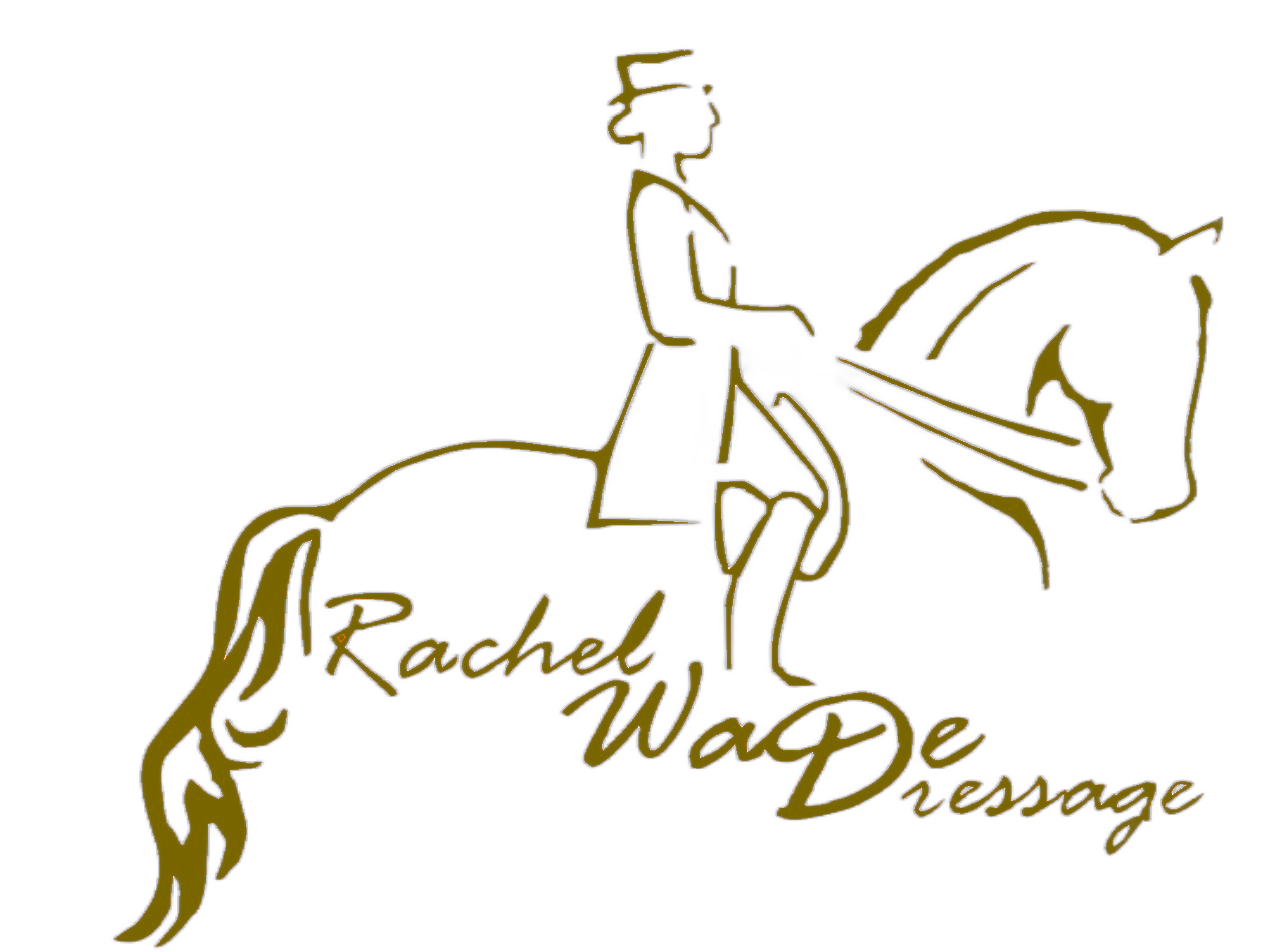 ER's DRESSAGE