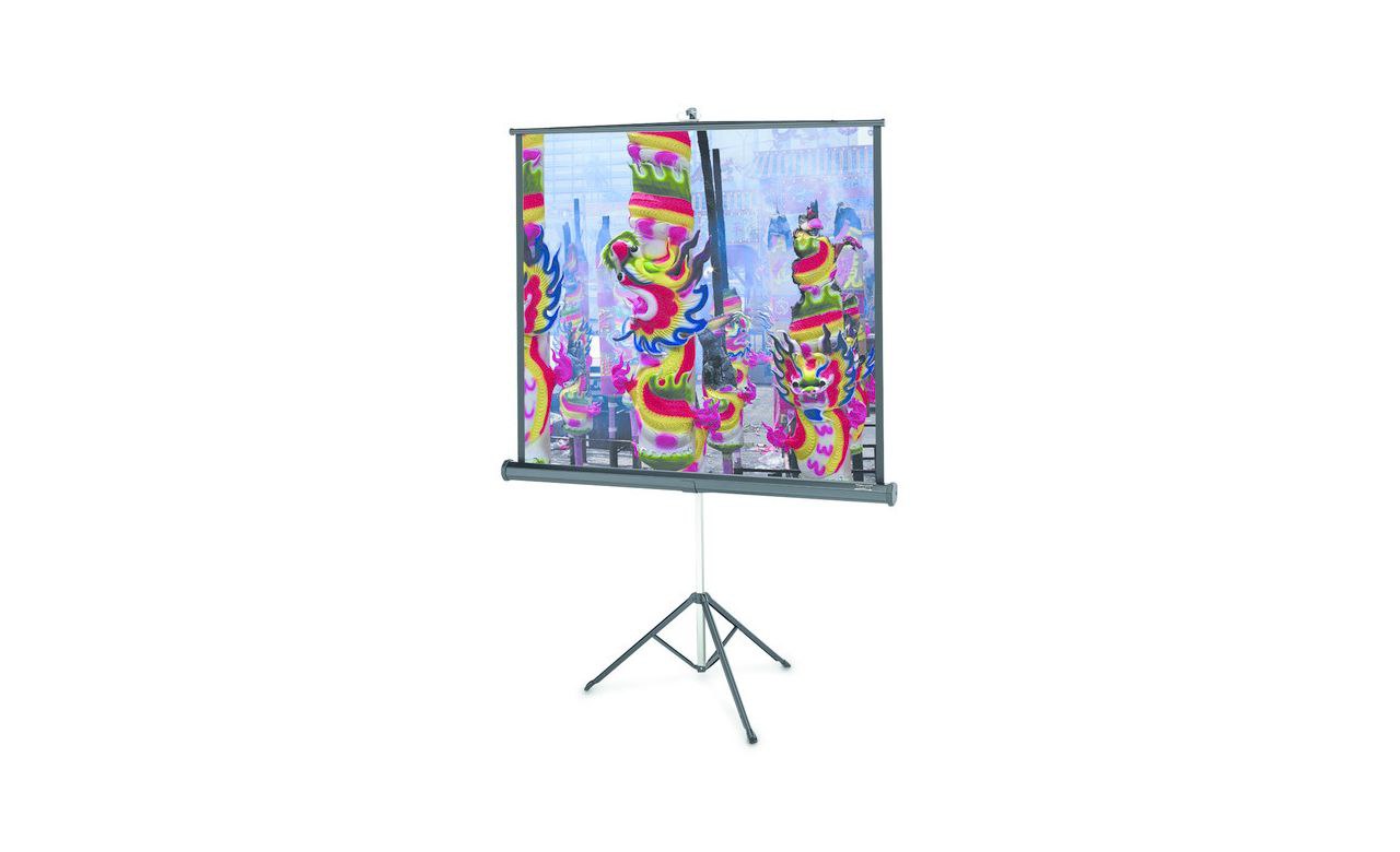 Экран на штативе Projecta 178 х 178 см