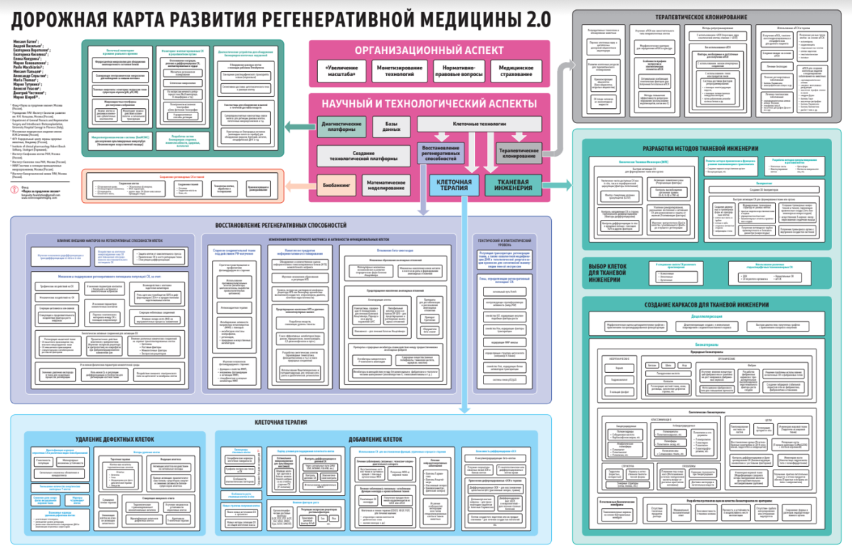 Дорожная карта здравоохранения