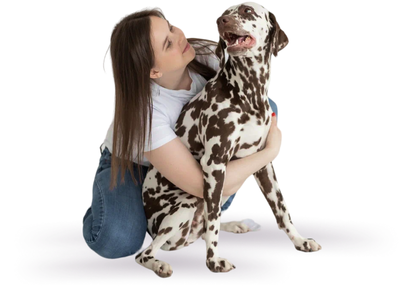 Зоогостиница для собак