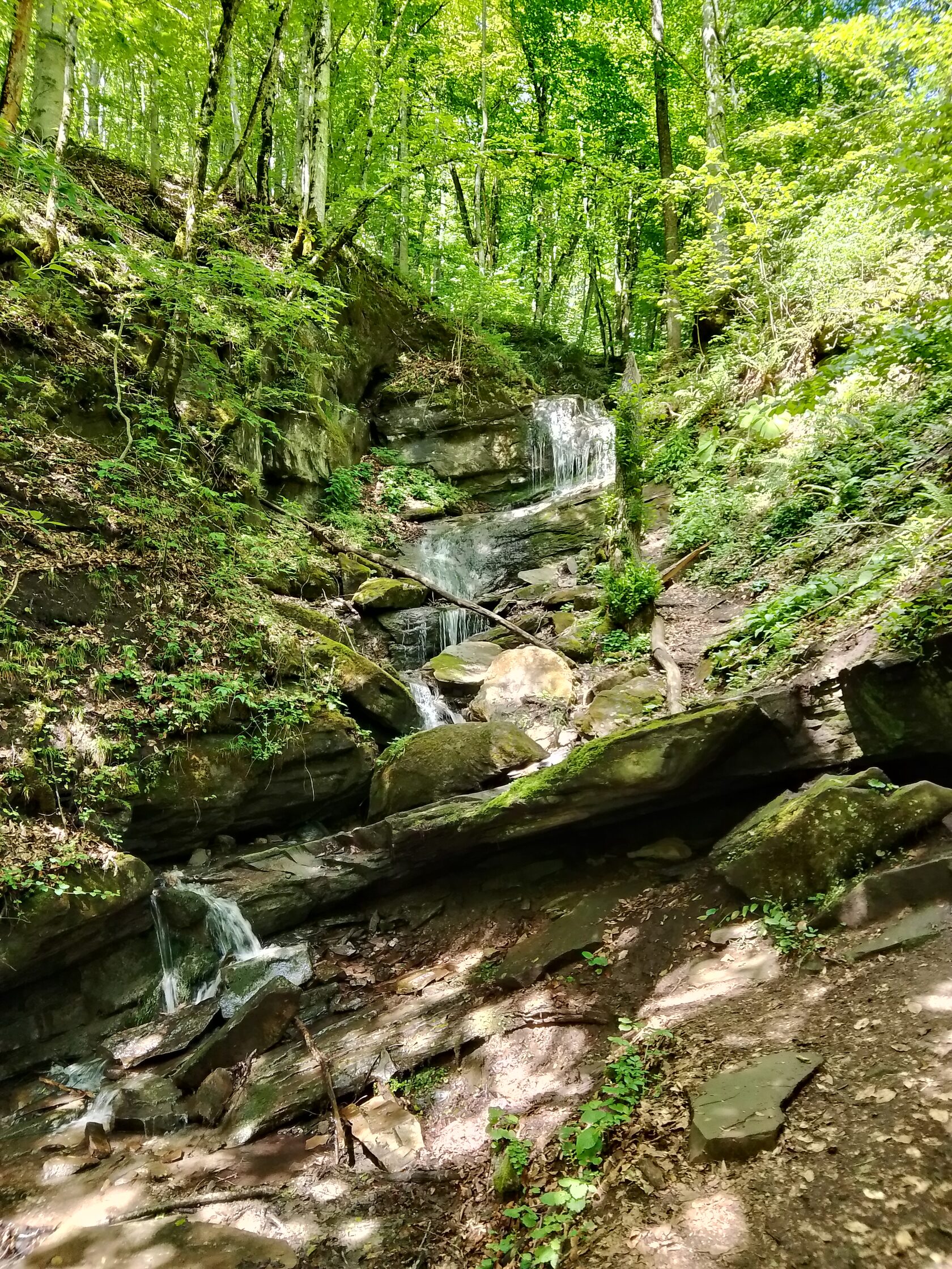Mountain Silence